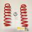 Пружины задние Фольксваген Поло Мк5 и Шкода Рапид Технорессор с занижением -30 на автомобиль Volkswagen Polo mk5 и Skoda Rapid - 2шт